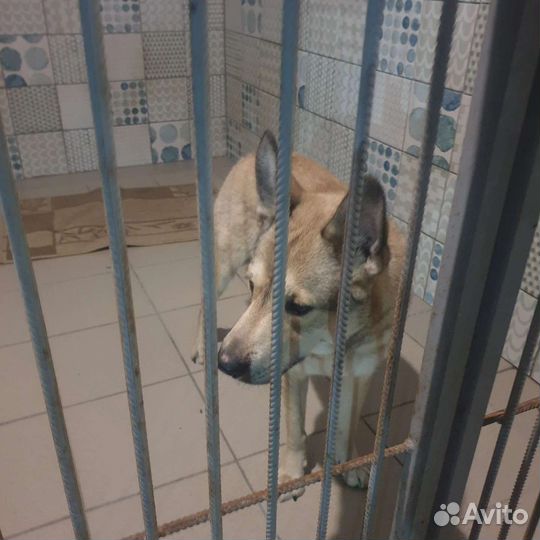 Ваш будущий друг очень ждет