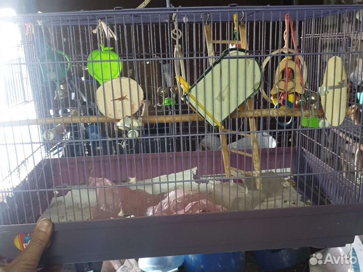 Клетка попугая