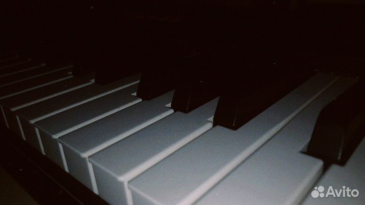 Текст песни на заказ, Гострайтер, Сонграйтер