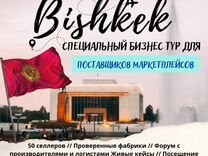 Бизнес тур в Киргизию (Бишкек)