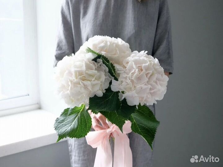 Гортензии цветы букеты