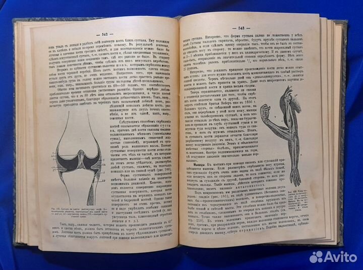 Наука для всех. Энциклопедия. Нечаев. 1919 г. R