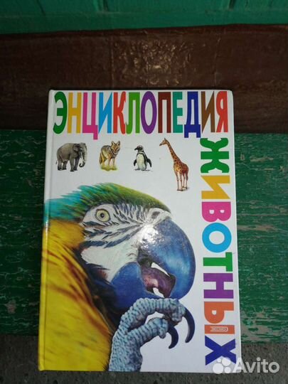 Энциклопедия для детей