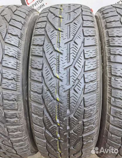 Tigar Winter 195/65 R15 96S