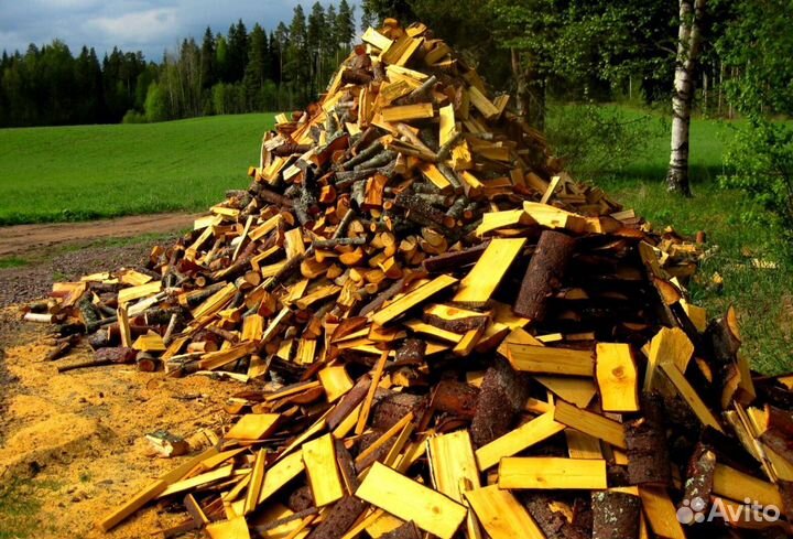 Дрова из Буратино