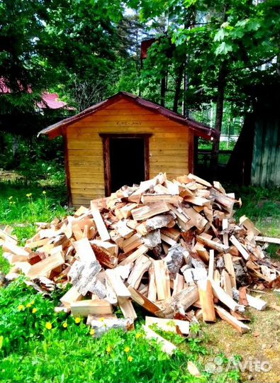 Дрова с доставкой по области любые
