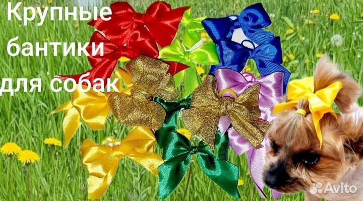 Бантики для собак
