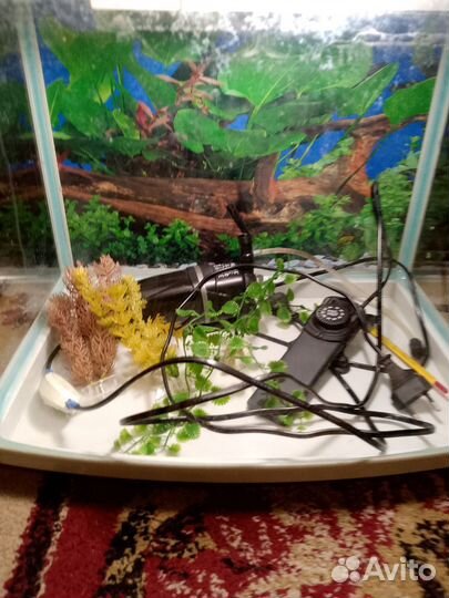 Аквариум