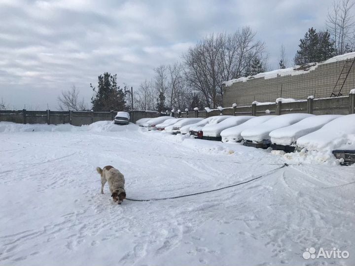 Автостоянка