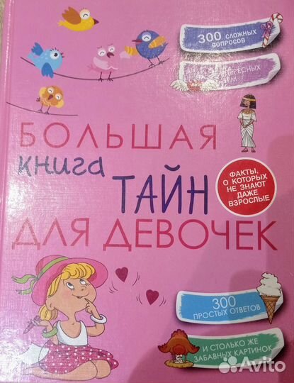 Большая книга тайн для девочек Хомич