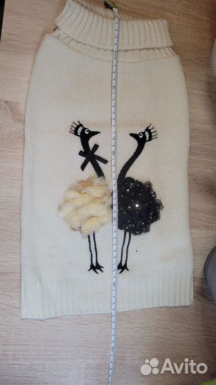 Одежда для собак