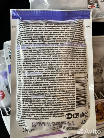 Pro plan для котят