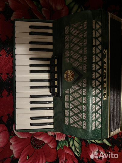Аккордеон березка 2