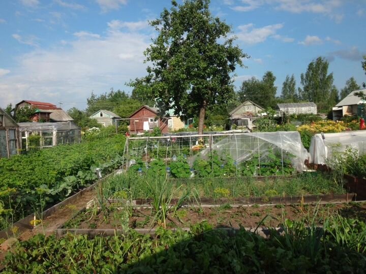 Дача 20 м² на участке 4 сот.