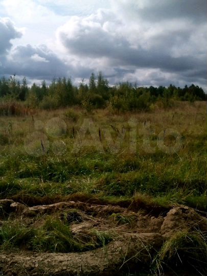 Участок 2,9 га (СНТ, ДНП)