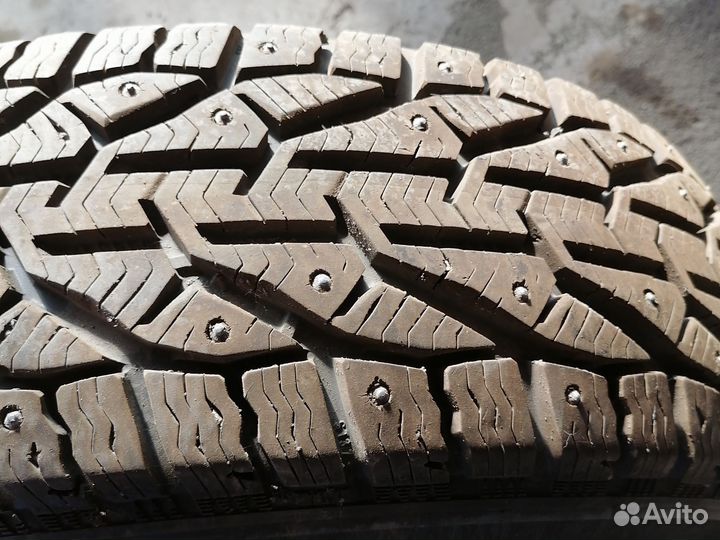 Tigar Ice 195/65 R15