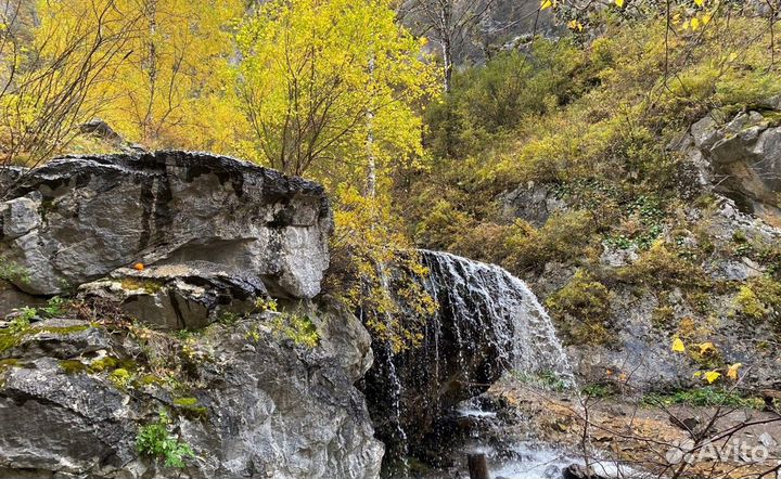 Экскурсия — Горно-Алтайск — Загадки алтайского кол