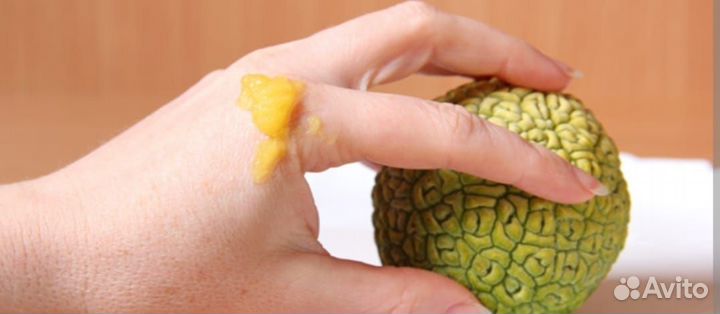 Фитомазь восстанавливливающая