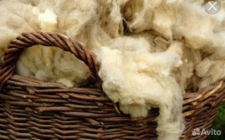 Шерсть овечья