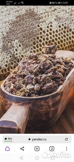 Продам прополис