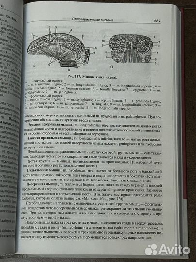 Учебник по анатомии Привес