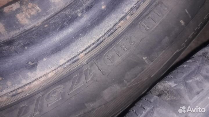 175/70 R13 Nexen Winguard WinSpike Зима Штампованн