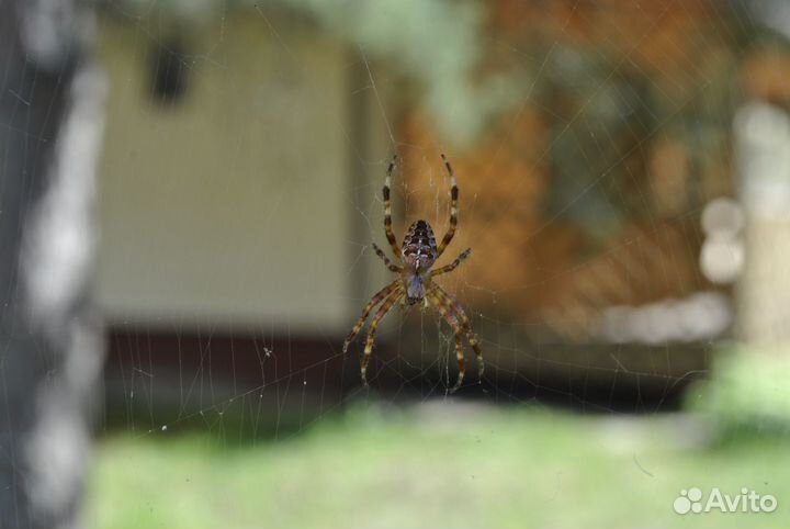 Зеркальный фотоаппарат nikon d3000