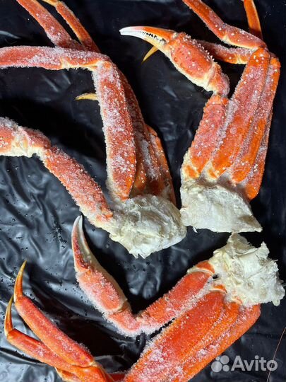 Морепродукты