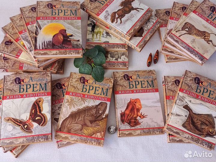 Альфред Брем Жизнь животных книги