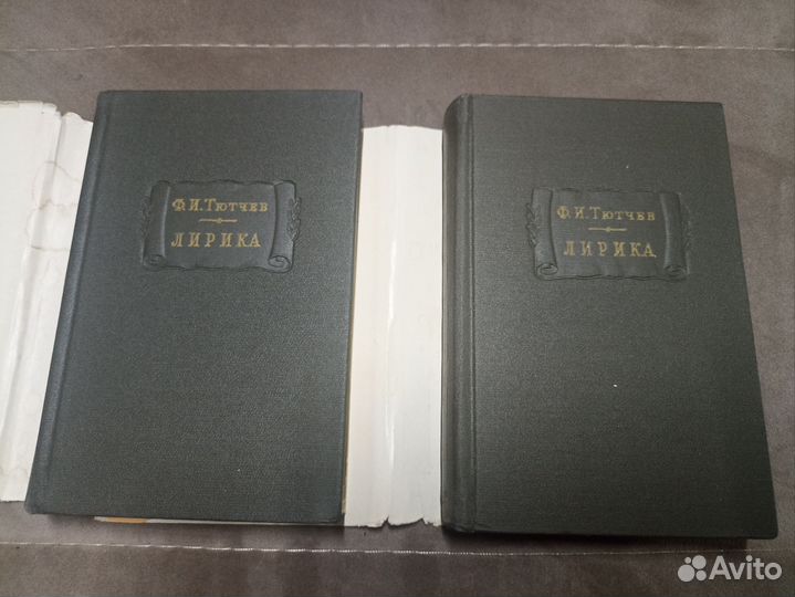 Литературные памятники Тютчев 1965 в 2-х томах