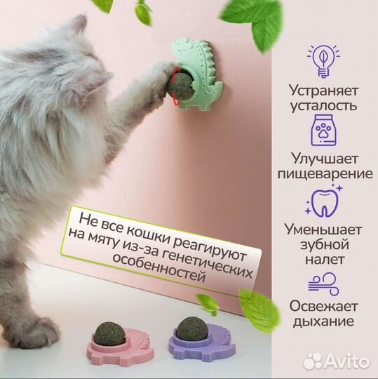 Кошачья мята шарик