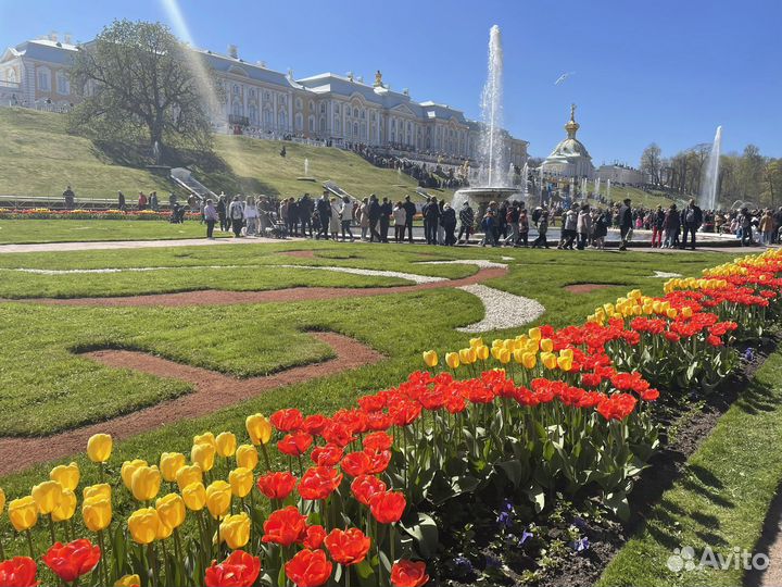Экскурсии по Санкт-Петербургу и пригородам