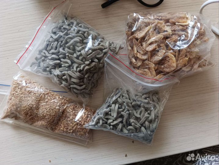 Домик для черепах и аксессуары