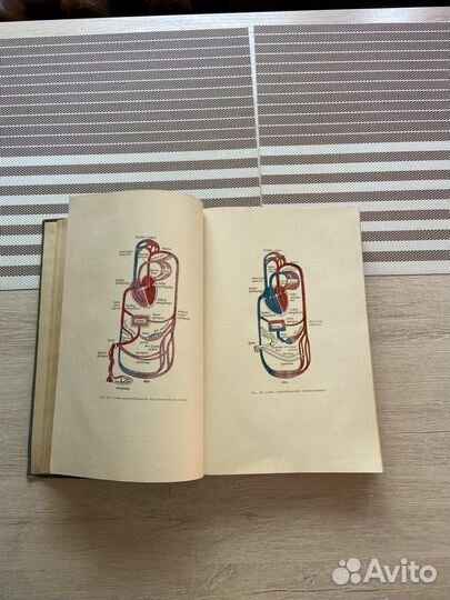 Акушерство 1970 год;В.И.Бодяжина;К Н. Жмакин