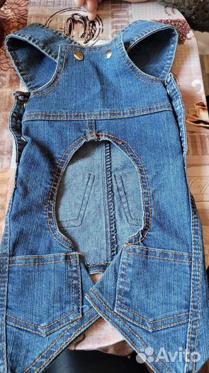 Одежда для маленьких собак