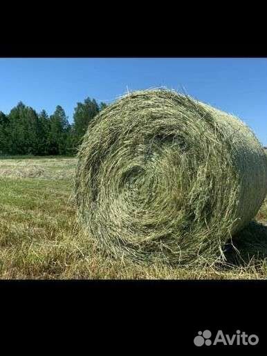 Сено в тюках и солома