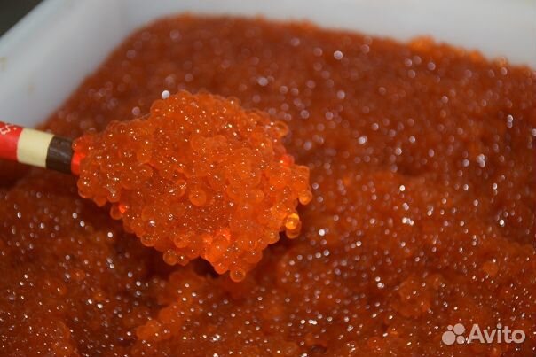 Икра красная оптом