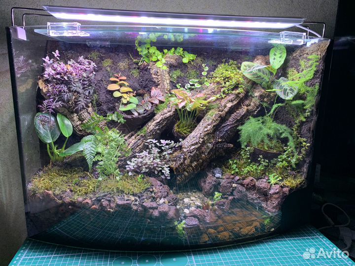Флорариум в аквариуме