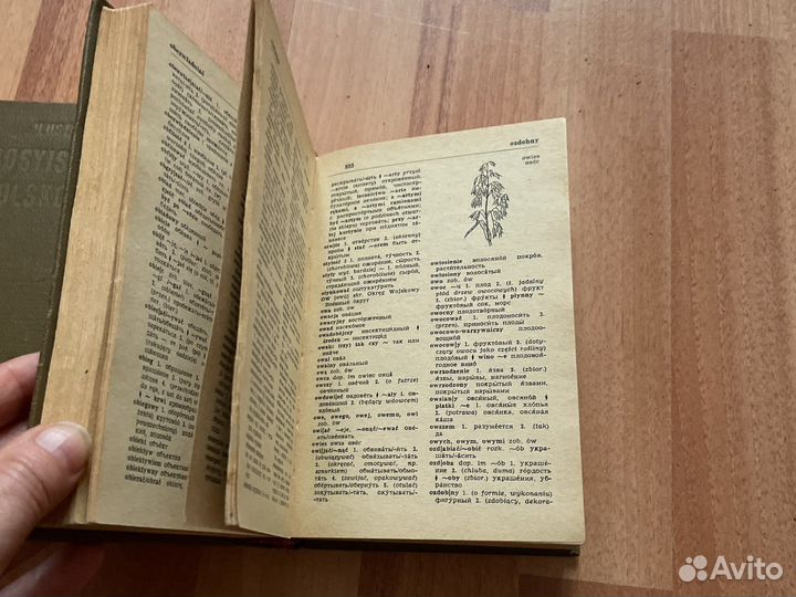 Польский язык