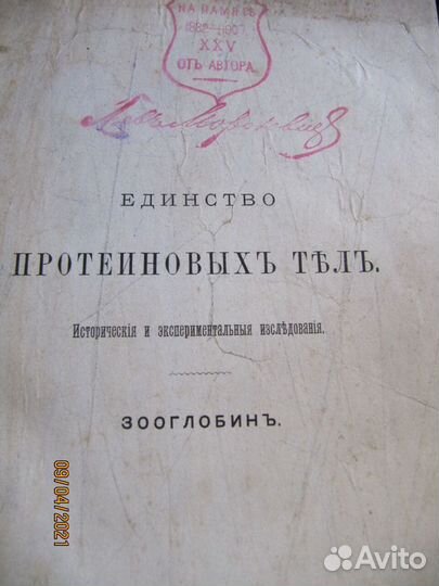 Мороховец Лев.Единство протеиновых тел.1892 год