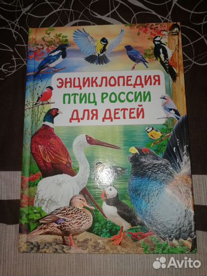 Энциклопедия для детей