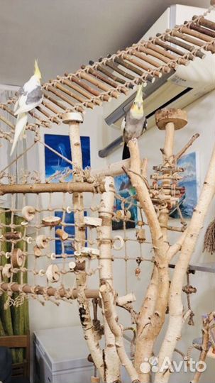 Сетка лазалка для попугая,игрушки погрызушки