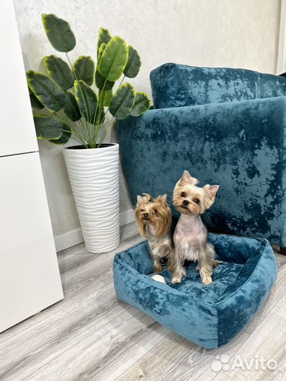 Лежанка интерьерная для собак и кошек