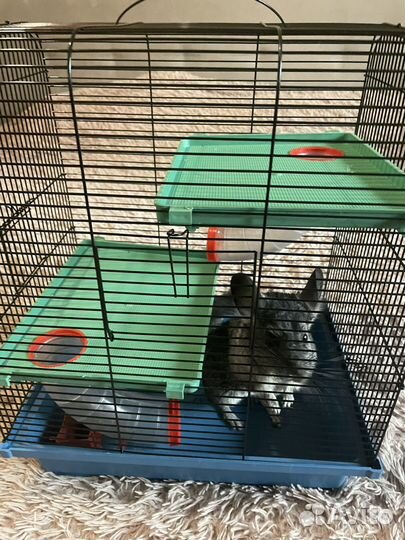 Клетки новые.Разные размеры