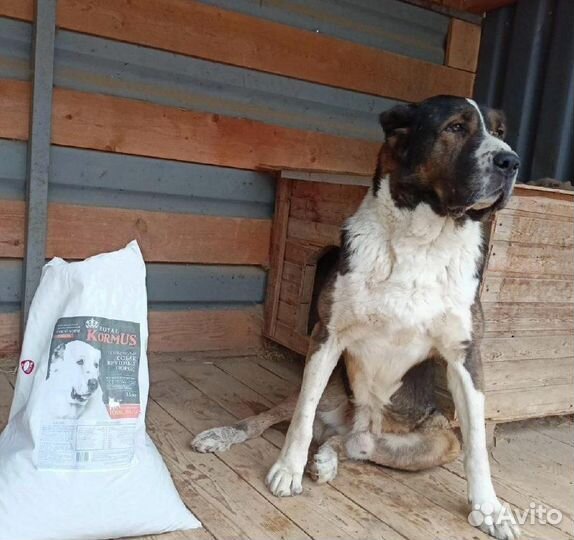 Корм для собак 15 кг мясной микс