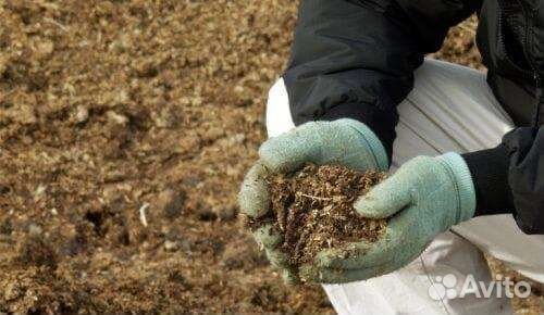 Перепелиный помет