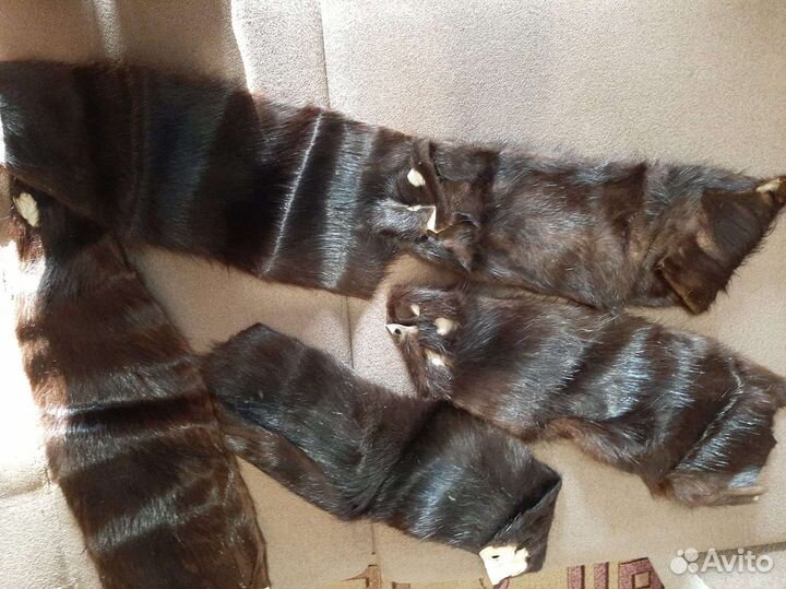 Шкурки норки