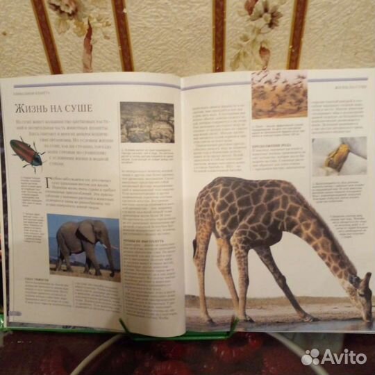 Энциклопедия живой природы