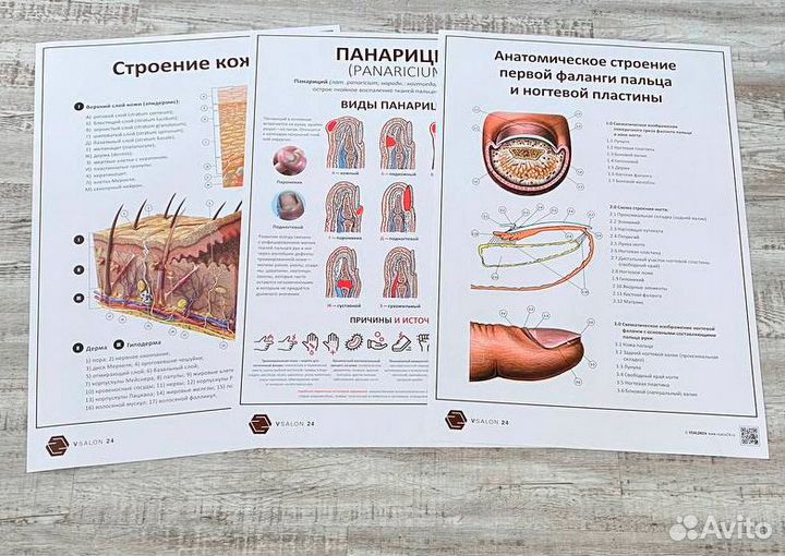 Набор плакатов 3 (в кабинет маникюра) А1