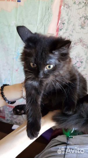 Малыши-крутыши